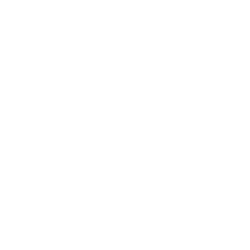 Logo CFI