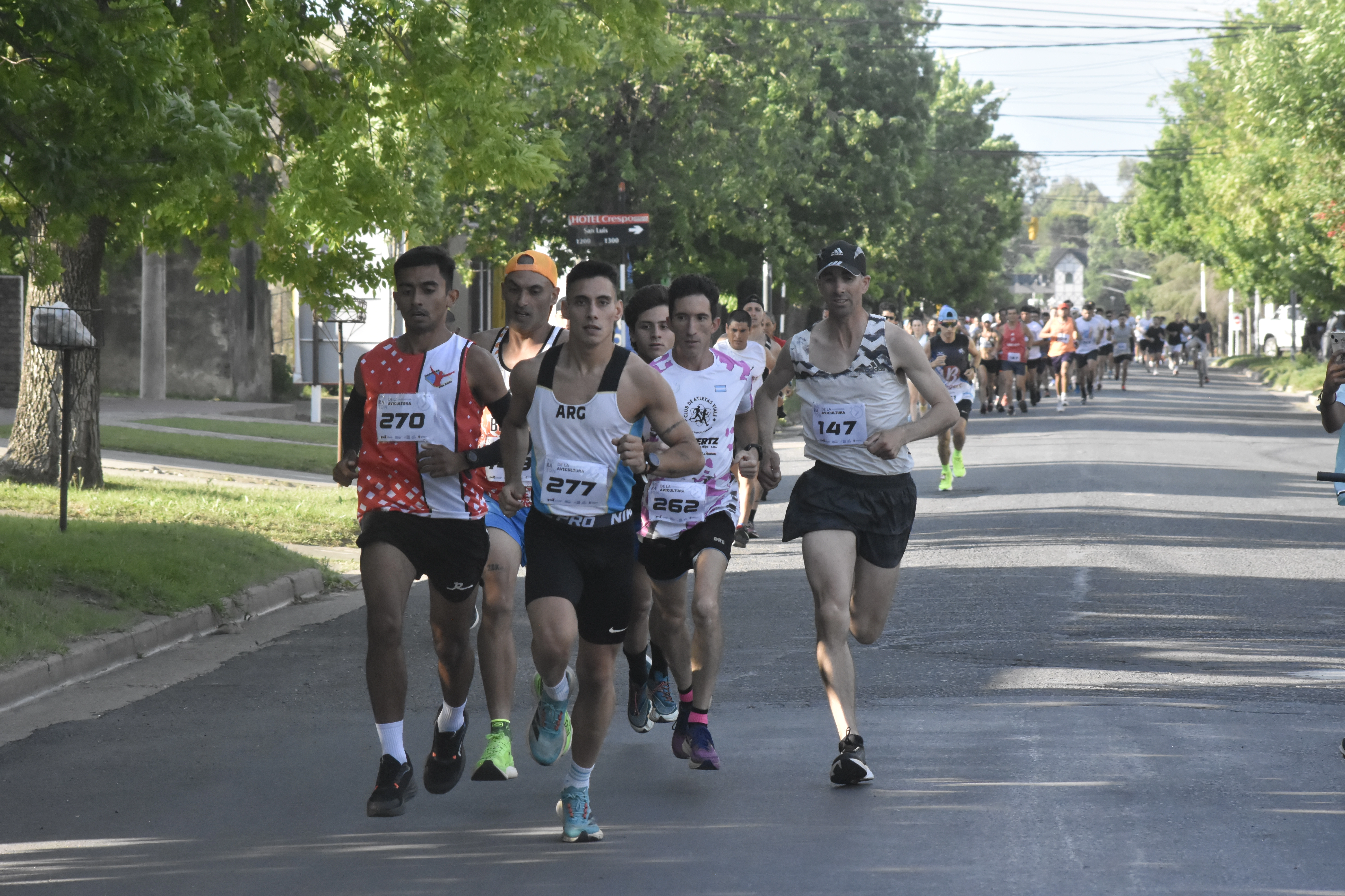 MARATÓN DE LA AVICULTURA: LA PREMIACIÓN POR CATEGORÍAS